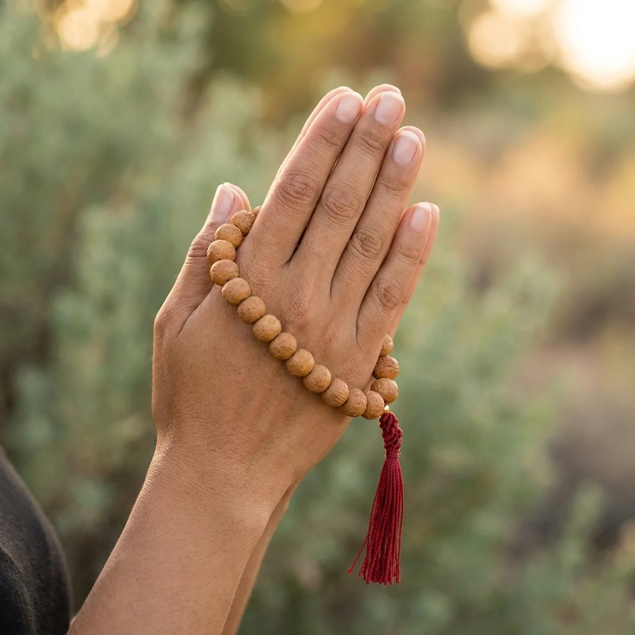 Phoenix Eye Bodhi Seed Wrist Mala Bracelet